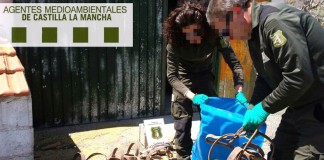 Agentes Medioambientales encuentran 16 aves rapaces muertas en un coto conquense