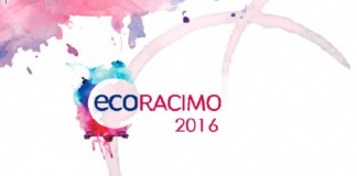 Los vinos regionales triunfan en el Concurso EcoRacimo, en Montilla (Córdoba)