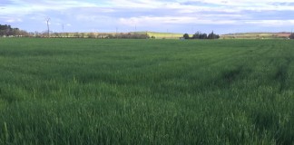 Ampliado oficialmente plazo de la PAC hasta el 15 de mayo