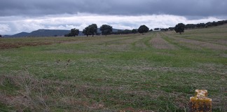 El Ministerio de Agricultura prorrogará el plazo de la PAC hasta el 15 de mayo