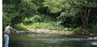 Preocupación por la pesca de carpa, trucha arco-iris y cangrejo
