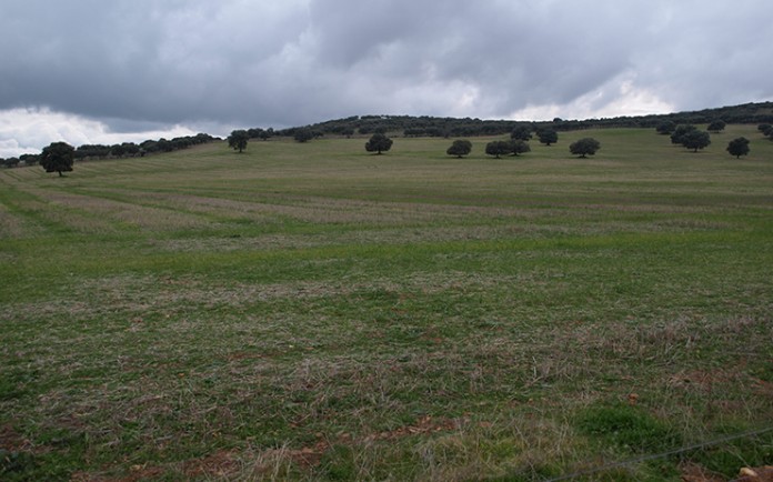 agricultura ecológica