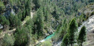 Apoyo decidido al Geoparque de Molina y el Alto Tajo