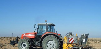 No se arrancarán viñas plantadas en ZEPA antes del 15-12-2015