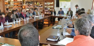 Un Plan Estratégico para el futuro de la Agricultura Ecológica fomentando comercialización y consumo