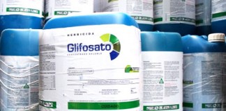 Ecologistas en Acción pide a grupos parlamentarios que voten contra herbicidas glifosato