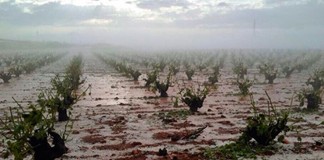 UPA pide la reducción urgente de los módulos para agricultores y ganaderos