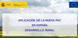 Martínez Arroyo afirma que el Ministerio debe resolver ya problemas técnicos de la PAC