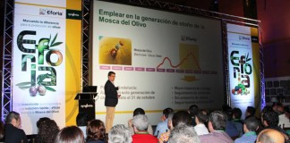 Syngenta avanza en la lucha contra la mosca del olivo