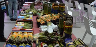 APAG insta a marca única para el Espárrago Verde de Guadalajara