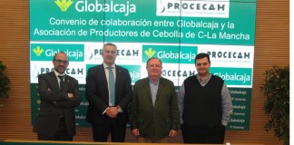 Globalcaja y PROCECAM renuevan convenio dirigido a productores de cebolla
