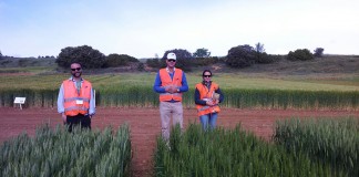 1.000 agricultores asisten a las jornadas de transferencias de cereales