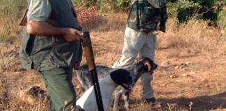 El 33% de los accidentes cinegéticos se producen en Castilla-La Mancha