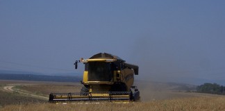 Incerhpan elabora un modelo de contrato de compraventa de cereales