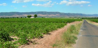 La CHG prohíbe nuevas concesiones cerca de los Ojos del Guadiana