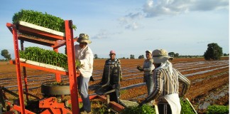 Publicada orden subvenciones del Magrama para programas de formación en medio rural