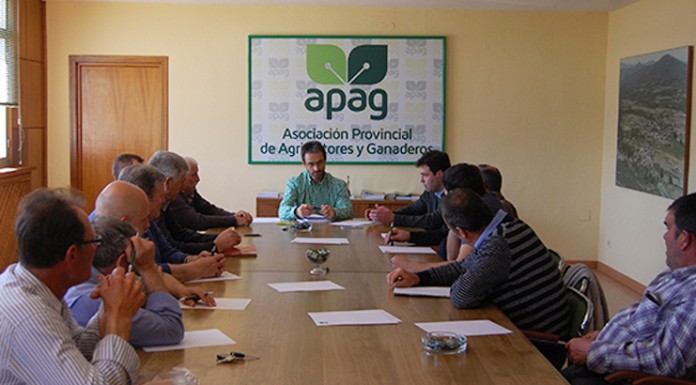 Ganaderos de leche de Guadalajara se quedan sin empresa de recogida