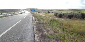 Ecologistas en Acción denuncia el empleo de glifosato en las carreteras