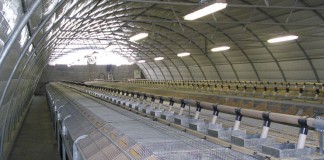 ¿Cuántas granjas cunícolas quedan en España? granja conejos