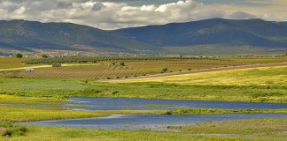 WWF ve cerca la ampliación del Parque Nacional de Las Tablas