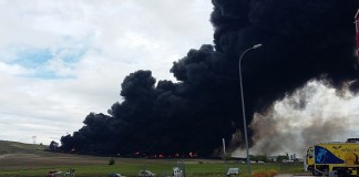 Nuevas actuaciones para conservar el medio ambiente en Seseña