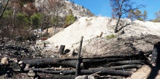 Unión de Uniones pide precaución para evitar los incendios forestales