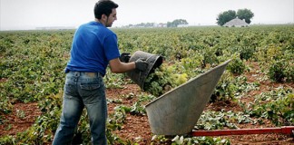 ASAJA Ciudad Real urge a abonar ayudas pendientes a incorporación jóvenes y agilizar resoluciones definitivas de mejora explotaciones