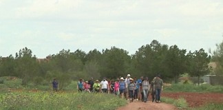Rutas por las lagunas de Alcázar de S.Juan (CR), reserva biosfera