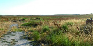 El Estado recupera el pleno dominio de una gran parte de los Ojos del Guadiana