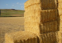 Muere un joven aplastado por pacas de paja en un pueblo de Guadalajara