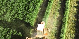 El Consejo de Ministros aprueba 3.455.010 euros para CLM para PDR