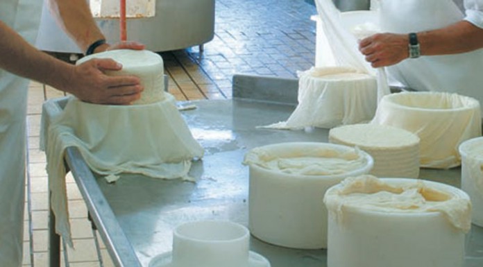 La ETSIAM participa en jornadas de la Red Española de Queserías