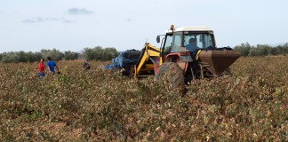 Los autónomos deben realizar sus trámites por vía electrónica