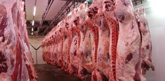 Japón podría levantar el veto al vacuno de la UE vacuno carne