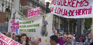 300 cunicultores exigen el fin de la corrupción en el sector