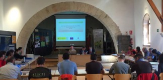 Completo curso de técnicas de resinación de pinares en Mazarete (Guadalajara)