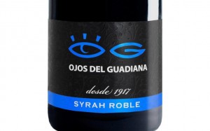 El progreso Syrah Manojo Oro 2