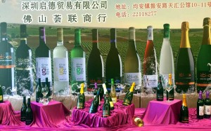 El progreso en China 2016 dos