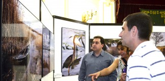 Recorrido fotográfico por los humedales de Castilla-La Mancha