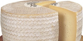 Grandes resultados de ASAJA en las elecciones del Queso Manchego