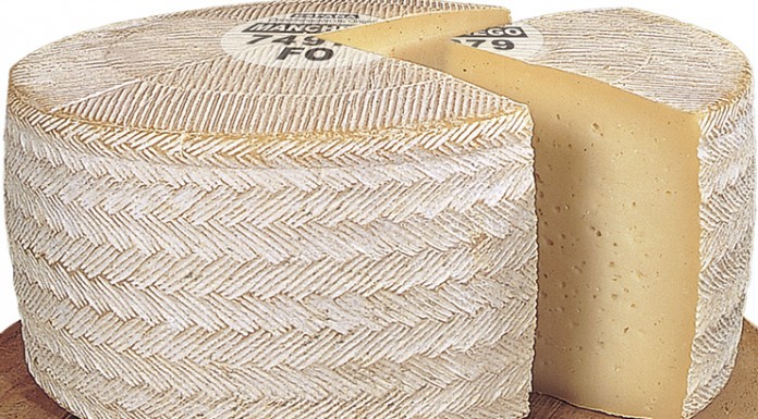 Grandes resultados de ASAJA en las elecciones del Queso Manchego