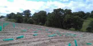 Agricultores conquenses patrullan de noche por sus explotaciones para evitar robos robos