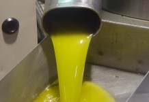 Descenso en el precio en origen del aceite de oliva