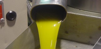 La cosecha regional de aceite concluye finalmente con 110.192 toneladas