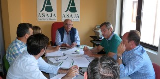 ASAJA CLM considera insuficiente la ayuda prevista para incorporación de jóvenes a agricultura