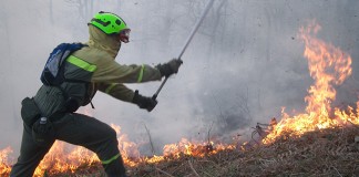 Hablará de prevención y extinción de incendios forestales en la COP25