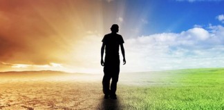 La agricultura en CLM, importante contra el cambio climático