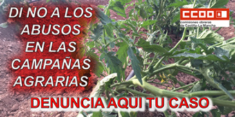 ccoo