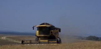 Se prevé una gran cosecha de cereal a nivel mundial y nacional cosechadora