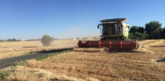 El paro vuelve a bajar en julio en el sector agrario cosechadora